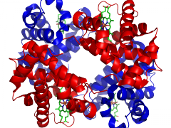 Applicability of semi-supervised learning assumptions for gene ontology terms prediction